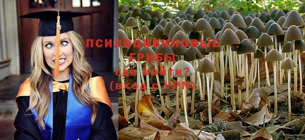 MESCALINE Баксан