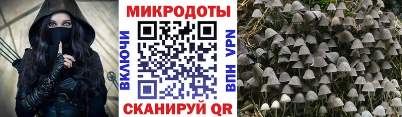 Псилоцибиновые грибы прущие грибы  ОМГ ОМГ ССЫЛКА  Чистополь 